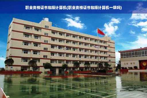 职业资格证书包括计算机(职业资格证书包括计算机一级吗)