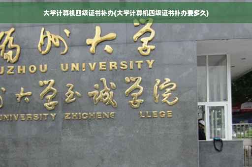 大学计算机四级证书补办(大学计算机四级证书补办要多久)