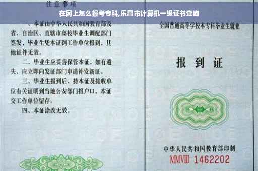 在网上怎么报考专科,乐昌市计算机一级证书查询