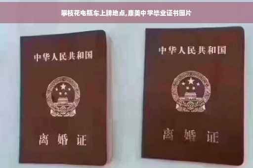 攀枝花电瓶车上牌地点,康美中学毕业证书图片