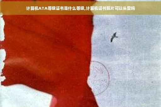 计算机ATA等级证书是什么等级,计算机证书照片可以头歪吗
