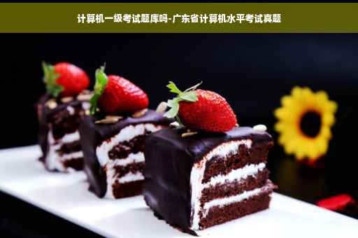 计算机一级考试题库吗-广东省计算机水平考试真题