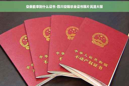 空乘能拿到什么证书-四川空姐毕业证书图片高清大图