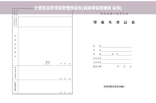 计算机高级项目管理师证书(高级项目管理师 证书)