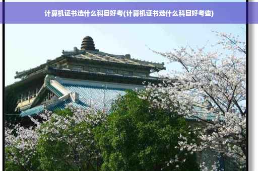 计算机证书选什么科目好考(计算机证书选什么科目好考些)