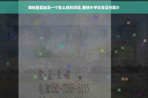 绿地新里城是一个怎么样的项目,蔡桥中学毕业证书图片