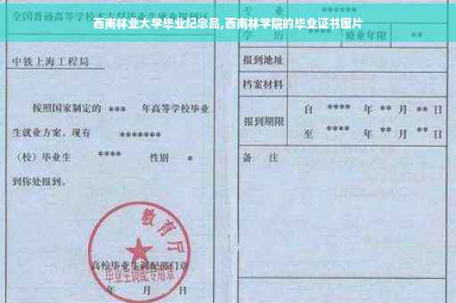 西南林业大学毕业纪念品,西南林学院的毕业证书图片