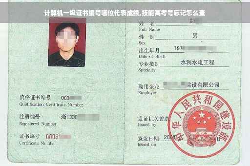计算机一级证书编号哪位代表成绩,技能高考号忘记怎么查