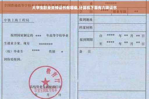 大学生职业资格证书有哪些,计算机下面有六级证书