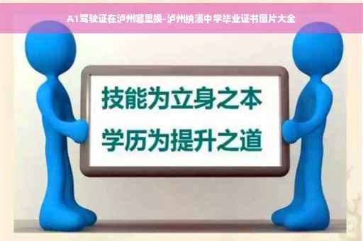 A1驾驶证在泸州哪里换-泸州纳溪中学毕业证书图片大全
