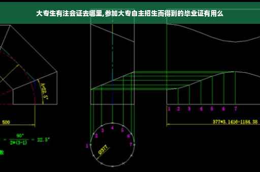 大专生有注会证去哪里,参加大专自主招生而得到的毕业证有用么