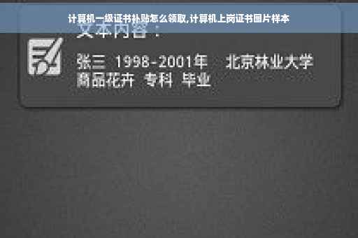 计算机一级证书补贴怎么领取,计算机上岗证书图片样本