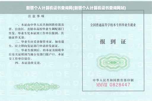 新疆个人计算机证书查询网(新疆个人计算机证书查询网站)