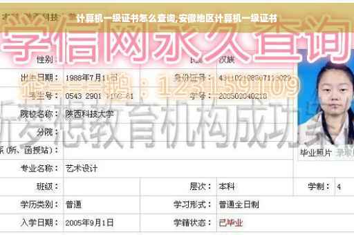 计算机一级证书怎么查询,安徽地区计算机一级证书