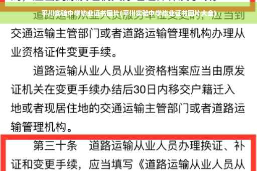 平川实验中学毕业证书图片(平川实验中学毕业证书图片大全)