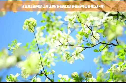 计算机2级等级证书丢失(计算机2级等级证书丢失怎么补办) 计算机2级等级证书丢失(计算机2级等级证书丢失怎么补办)