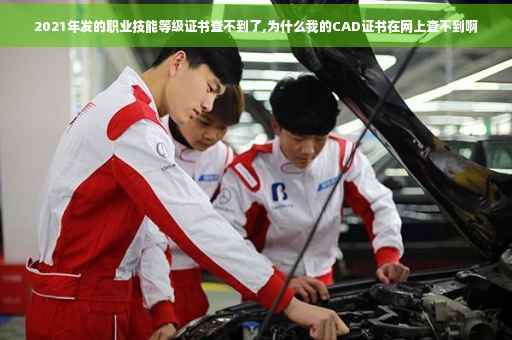 2021年发的职业技能等级证书查不到了,为什么我的CAD证书在网上查不到啊