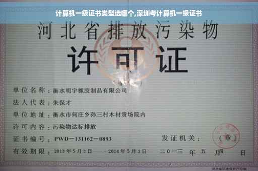 计算机一级证书类型选哪个,深圳考计算机一级证书