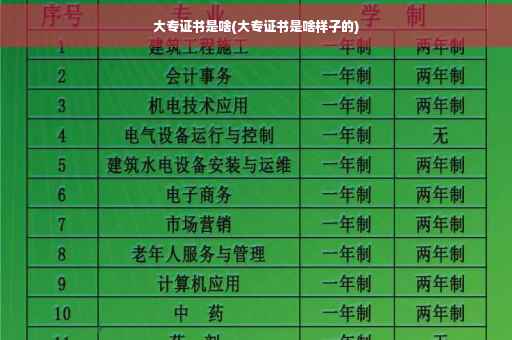 大专证书是啥(大专证书是啥样子的)