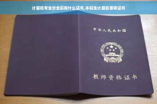计算机专业毕业后有什么证书,本科生计算机等级证书