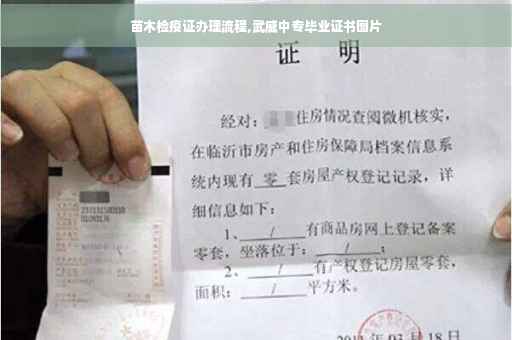苗木检疫证办理流程,武威中专毕业证书图片