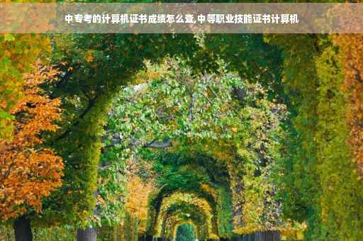 中专考的计算机证书成绩怎么查,中等职业技能证书计算机