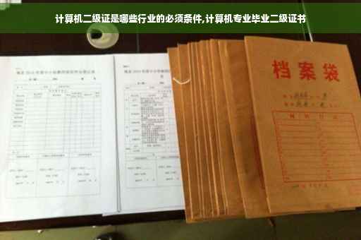 计算机二级证是哪些行业的必须条件,计算机专业毕业二级证书