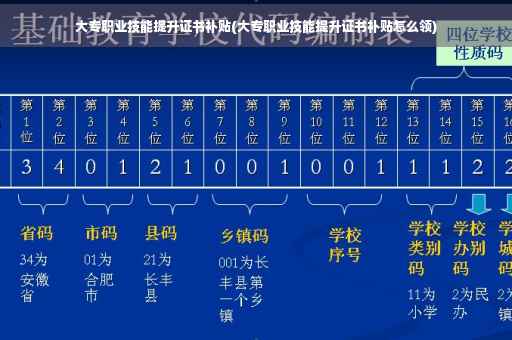 大专职业技能提升证书补贴(大专职业技能提升证书补贴怎么领)