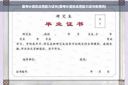 国考计算机应用能力证书(国考计算机应用能力证书有用吗)