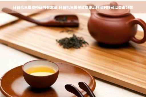 计算机三级资格证书有哪些,计算机三级考试结束后什麽时候可以查询分数