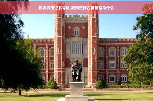教师资格证书号码,教师资格合格证号是什么