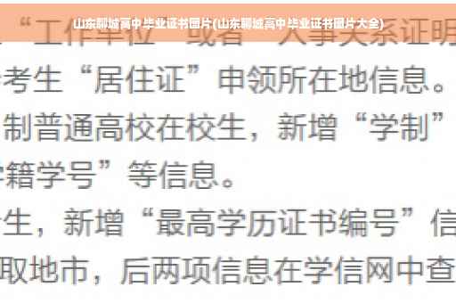 山东聊城高中毕业证书图片(山东聊城高中毕业证书图片大全)
