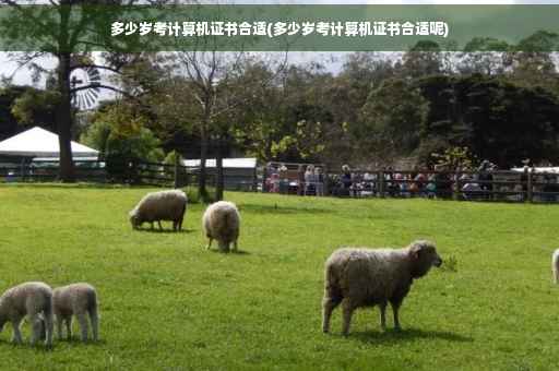 多少岁考计算机证书合适(多少岁考计算机证书合适呢)