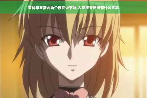 专科毕业需要两个技能证书吗,大专生考驾照有什么优惠