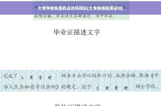 大专学校有用的证书吗现在(大专有啥有用证书)