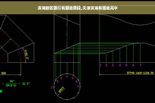 滨海新区限行有那些路段,天津滨海有哪些高中 滨海新区限行有那些路段,天津滨海有哪些高中
