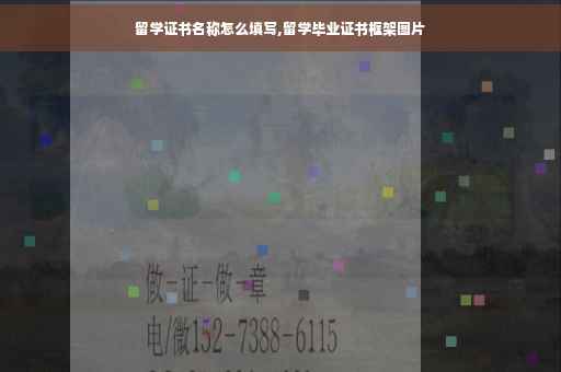 留学证书名称怎么填写,留学毕业证书框架图片