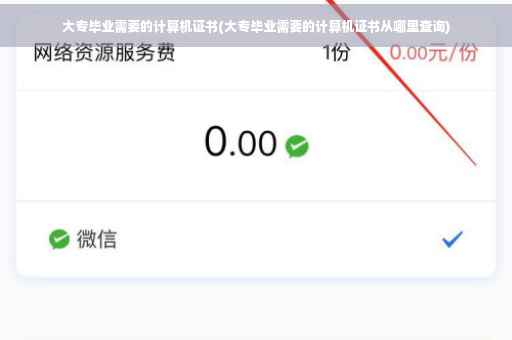 大专毕业需要的计算机证书(大专毕业需要的计算机证书从哪里查询)