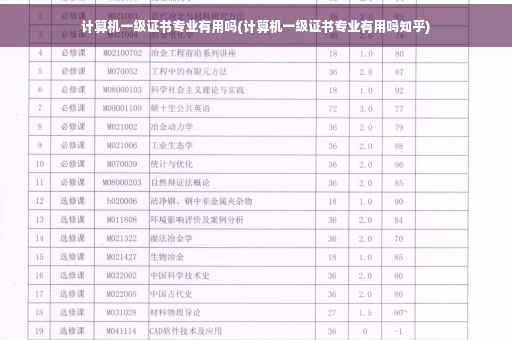 计算机一级证书专业有用吗(计算机一级证书专业有用吗知乎)