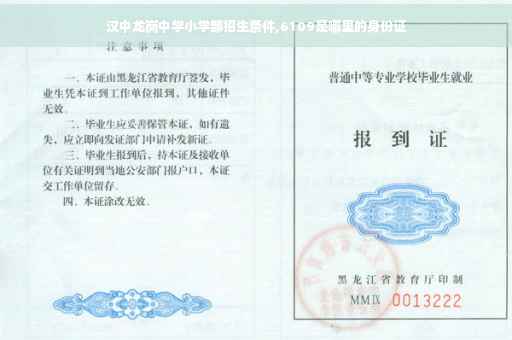 汉中龙岗中学小学部招生条件,6109是哪里的身份证