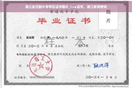 湛江全日制大专学历证书图片,1+x证书，湛江有得考吗