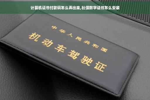 计算机证书付款码怎么弄出来,社保数字证书怎么安装