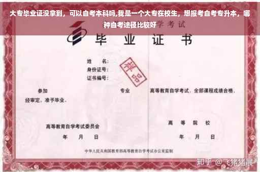 大专毕业证没拿到，可以自考本科吗,我是一个大专在校生，想报考自考专升本，哪种自考途径比较好