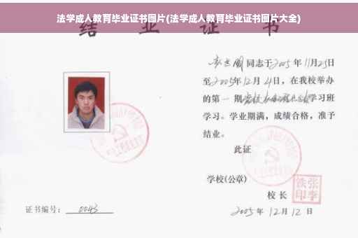 法学成人教育毕业证书图片(法学成人教育毕业证书图片大全)
