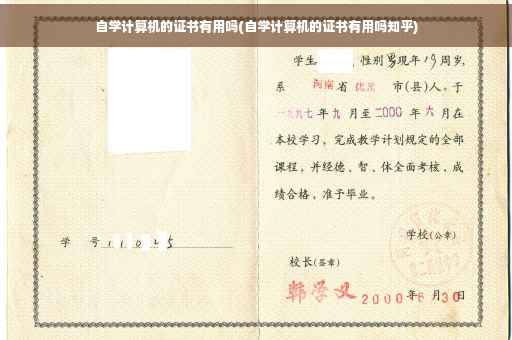 自学计算机的证书有用吗(自学计算机的证书有用吗知乎)