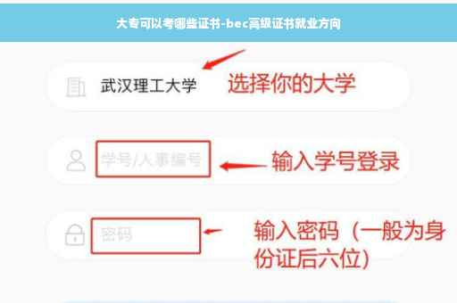 大专可以考哪些证书-bec高级证书就业方向