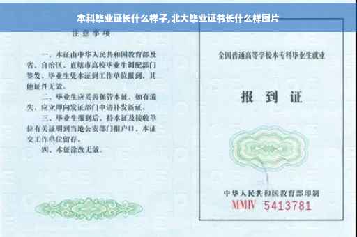 本科毕业证长什么样子,北大毕业证书长什么样图片