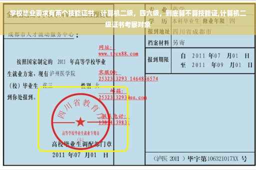 学校毕业要求有两个技能证书，计算机二级，四六级，到底算不算技能证,计算机二级证书考察对象