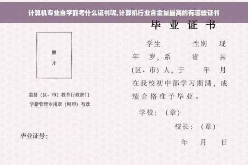 计算机专业自学能考什么证书呢,计算机行业含金量最高的有哪些证书