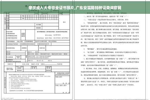 肇庆成人大专毕业证书图片,广东安监局特种证查询官网